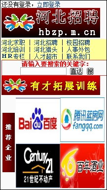 手机中文实名超越搜索营销 移动互联网推广资源争夺已趋白热化