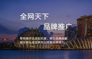 品牌网络推广方案
