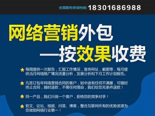网络推广营销专家 北京圣蓝途王子畅