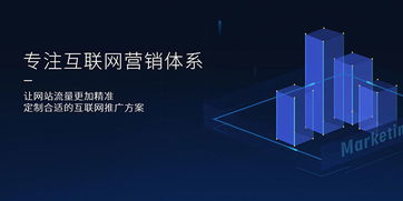 河池网络推广服务为先