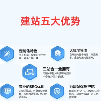 国内外网站建设 赠送客户资源 流量推广 提高企业形象