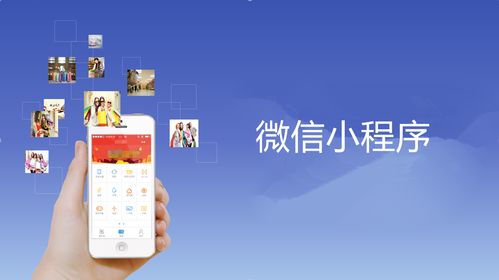 东莞虎门b2c电商小程序开发